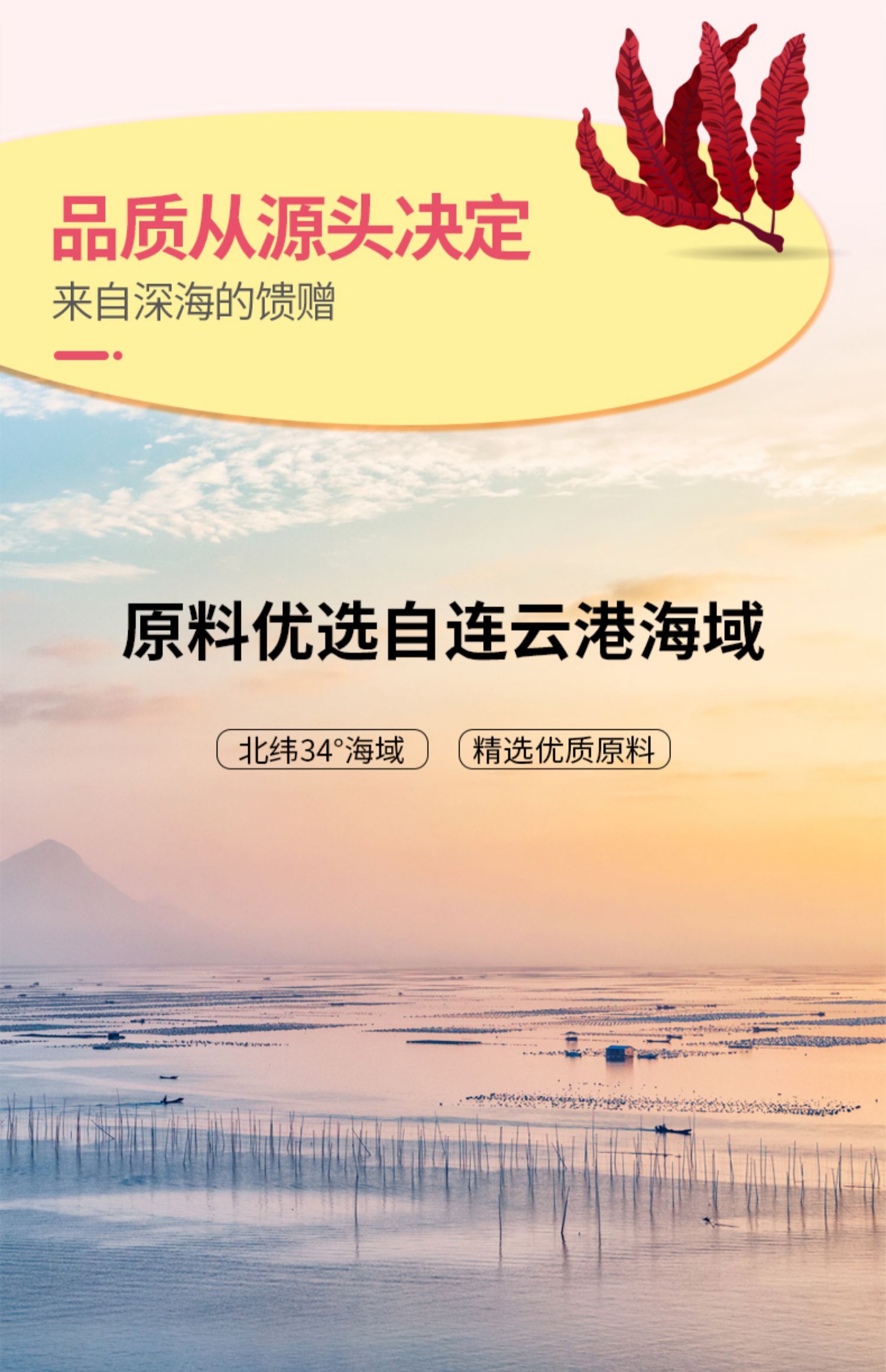 【手指点点】宝宝海苔碎拌饭料