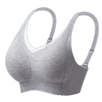 Push-up bra for women 2024 autumn and winter new top support anti-sagging no steel ring fixed cup lift-up shaping bra