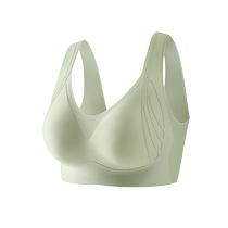 Catman Seamless Underwear Womens 2024 Summer New Thin Style Push-Up Anti-Sagging Anti-Exposed No Wire Ring Beautiful Back Bra