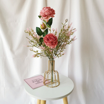 Ins Nordic creative vase wrought iron hydroponic rack golden shop indoor floral glass table fake flower ornaments