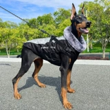 Демисезонная утепленная куртка, осенний сезон, подходит для подростков