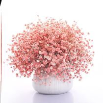 Advanced Dry Flowers Real Flowers Living Room Pendulum With Light Lavish High-end Bedroom Imported High-end Light Lavish Bouquet Minimalist Furnishing Dried Flowers