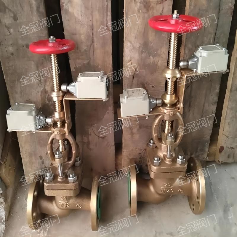 Marine fire valve flange type bronze stop valve GB T588 with feedback aluminium bronze fire cut-off check valve-Taobao