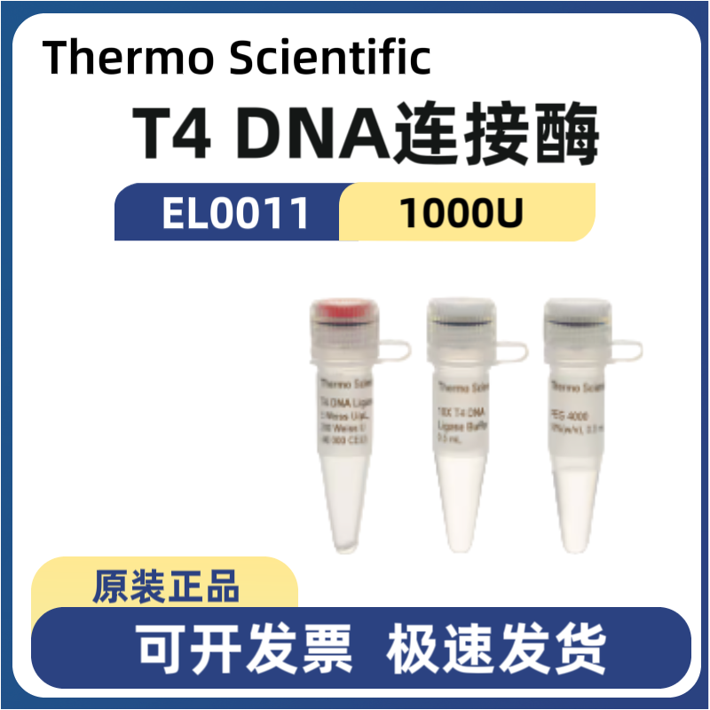 赛默飞Thermo EL0011 T4 DNA 连接酶(5 U/&mu;L) 原装正品