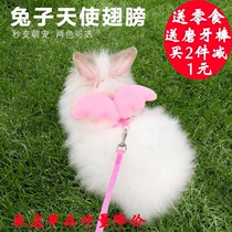 Pet Minke Squirrel Dutch Pig Dragon Cat Little White Rabbit Flowers squirrels squirrels out to pull rope running ball with rope