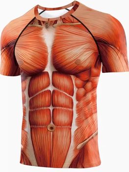 Medical Demonstration Teaching Teacher's Internal Organs Human Organ Suit Skeletal Muscle 3D Simulation Props Anatomy Clothing Short-Sleeved