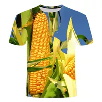 Кукуруза с коротким рукавом 08