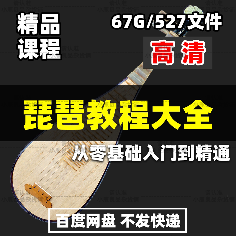 Pipa Video Tutorial Zero-Basic Teaching Children and Adults Getting Started to Proficient in Pop Score Examination Guidance Course