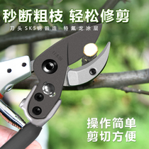 Pruning branch scissors special garden orchard pruning shears artifact fruit fruit scissors flower flower flower branch scissors