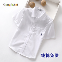 Childrens white shirt primary school uniform boy cotton non-iron short-sleeved white shirt host performance Women