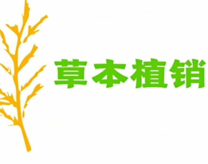 草本植销