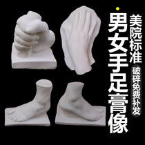 Plaster statues of men and womens hands and feet four-piece set of plaster teaching aids for men and women art sketches paintings still life tools