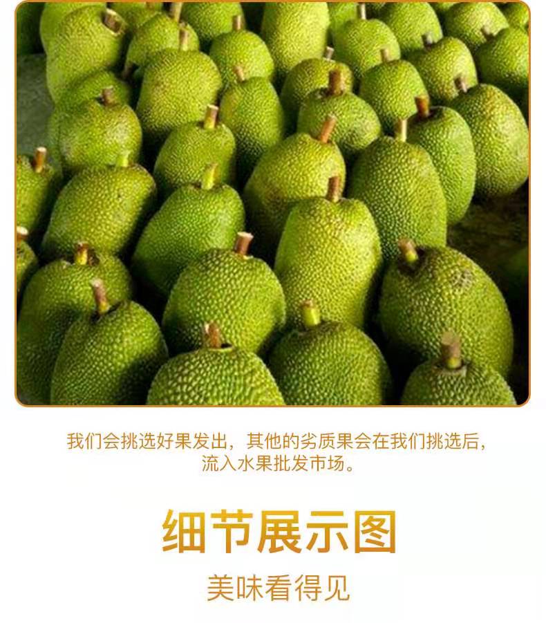 【约15-20斤】海南黄肉现摘新鲜菠萝蜜