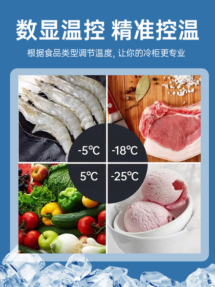 迷你冷冻小型冰柜哈根达斯冰淇淋雪糕立式展示柜冰激凌酸奶冰冰箱