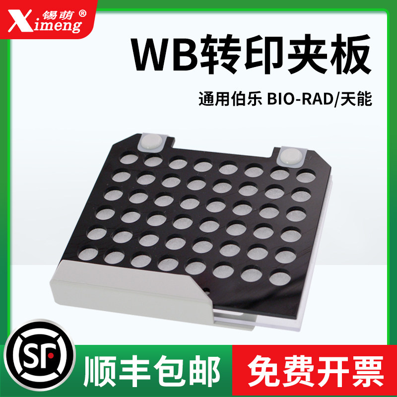 锡萌wb转膜夹电转夹转印三明治夹板转移夹转膜多孔垫1703931 Western blot黑白孔转膜夹 适配伯乐bio-rad天能