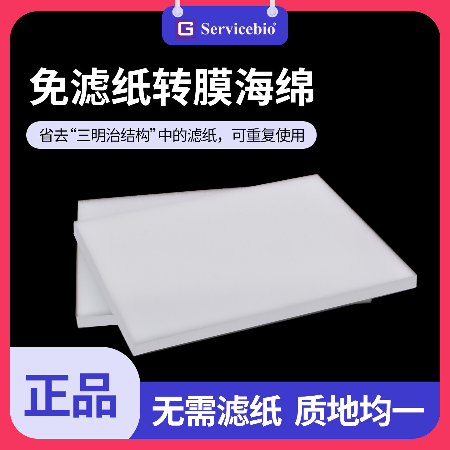 WB转膜海绵免滤纸 湿转转印绵 电泳实验western blot转膜海绵垫衬垫 无需滤纸 Servicebio赛维尔免滤纸转印棉