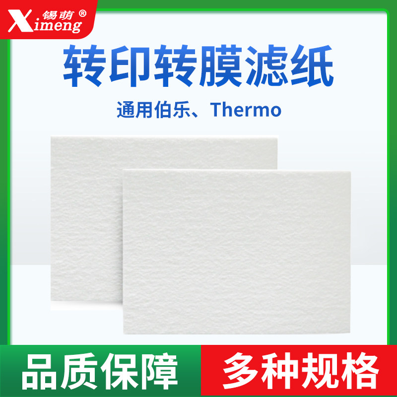 WB转印滤纸转膜湿转印滤纸衬垫Western blot 适用伯乐/天能/六一/Thermo转印槽厚滤纸电泳湿转 半干转印滤纸