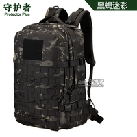 Черный скорпион