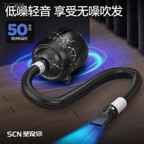 Pet water blower dog-specific drying and blowing machine high-power household cat quick-drying large dog bathing and blowing hair artifact