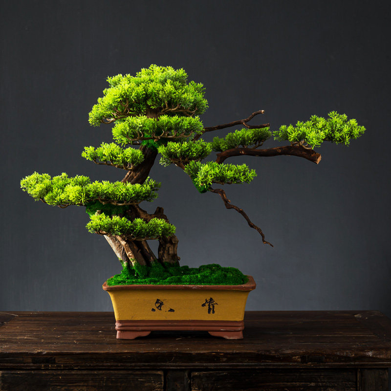 Simulation Yingker Songbonsai Living room Xuanguan pendulum piece New Chinese style office with ornament fake tree fake green planting potted plant-Taobao