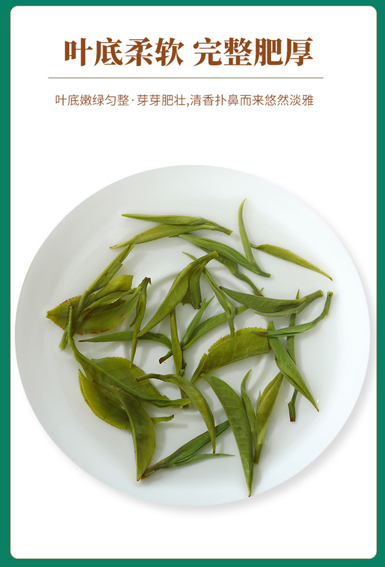 2022新茶！高山云雾毛尖茶250g