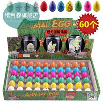 Toy boy baby dinosaur egg bubble water dragon expansion toy bubble big absorbent resurrection egg blister ornamental hole