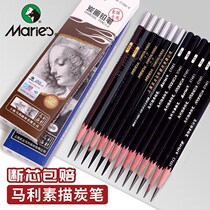 Sketch Pencil Suit Beginners Fine Arts Students 2b4b8b Painting hb Drawing 12b14b Carbon Pen Soft in Hard