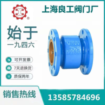 Shanghai Lianggong Valves Shanghai factory opens Weixi HC41X-16Q ductile iron copper core silencer flange check valve