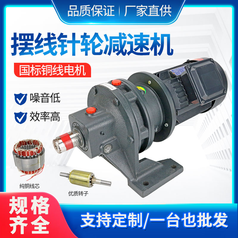 Planetary cycloid reducer vertical small horizontal pendulum reducer with national standard copper core motor