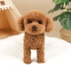 Коричневая стоячая плюшевая собачка [входит в подарочную коробку]