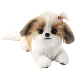 Реалистичная карта-маны, кукла, плюшевая игрушка, США, домашний питомец, подарок на день рождения