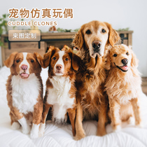 Customized simulation pet dog doll with pictures and photos large cat and dog doll plush gift handmade