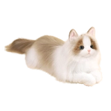 Карта-маны, кукла, электрическая плюшевая игрушка, США, кот, подарок на день рождения