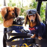 Реалистичная карта-маны, защитный чехол, шлем, делается под заказ, домашний питомец, подарок на день рождения