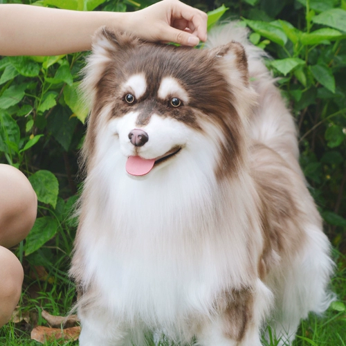 Реалистичная карта-маны, кукла, плюшевая игрушка, США, домашний питомец, подарок на день рождения