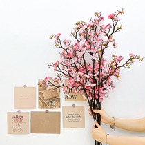 Simulation Peach Blossom Branches Living Room Fake Laplum Flowers Single Branch Plastic Flowers and Flowers Swaying Pieces Indoor Decoration Tree Ground Cherry Blossom Branches