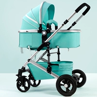 Вечнозеленый зеленый