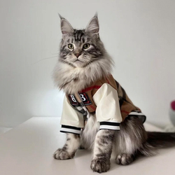 Maine Cat Special Clothes Handsome Baseball Suit Thin Cat Anti-hair Flying Hair Spring Outwear Beautiful Spring Clothes