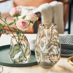 Fancy Asymmetrical vase glass transparent hydroponic flower arrangement rose Lily living room dining table art decoration Popular