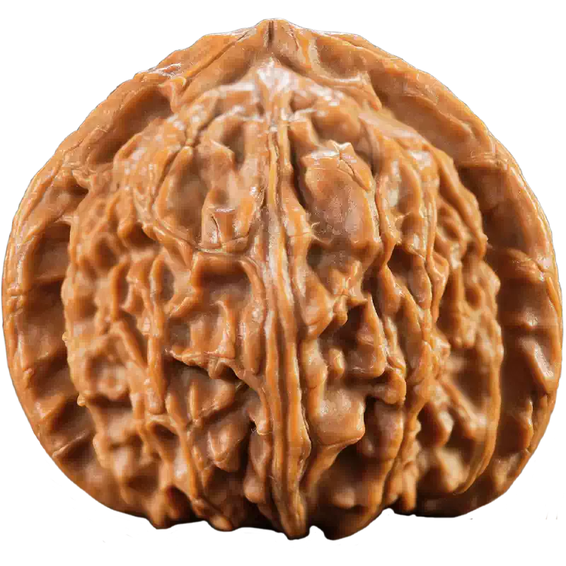 文玩核桃三角白狮子头闷尖小手捻磨盘苹果园精品盘