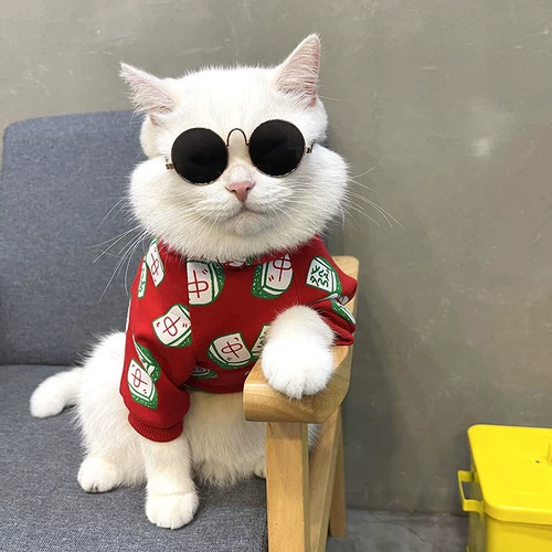Кошки для домашних собак Новая годовалая одежда Зимняя одежда теплый мужчина кошка красивая ткань куколка для кошки осень и зимнее красное новое платье