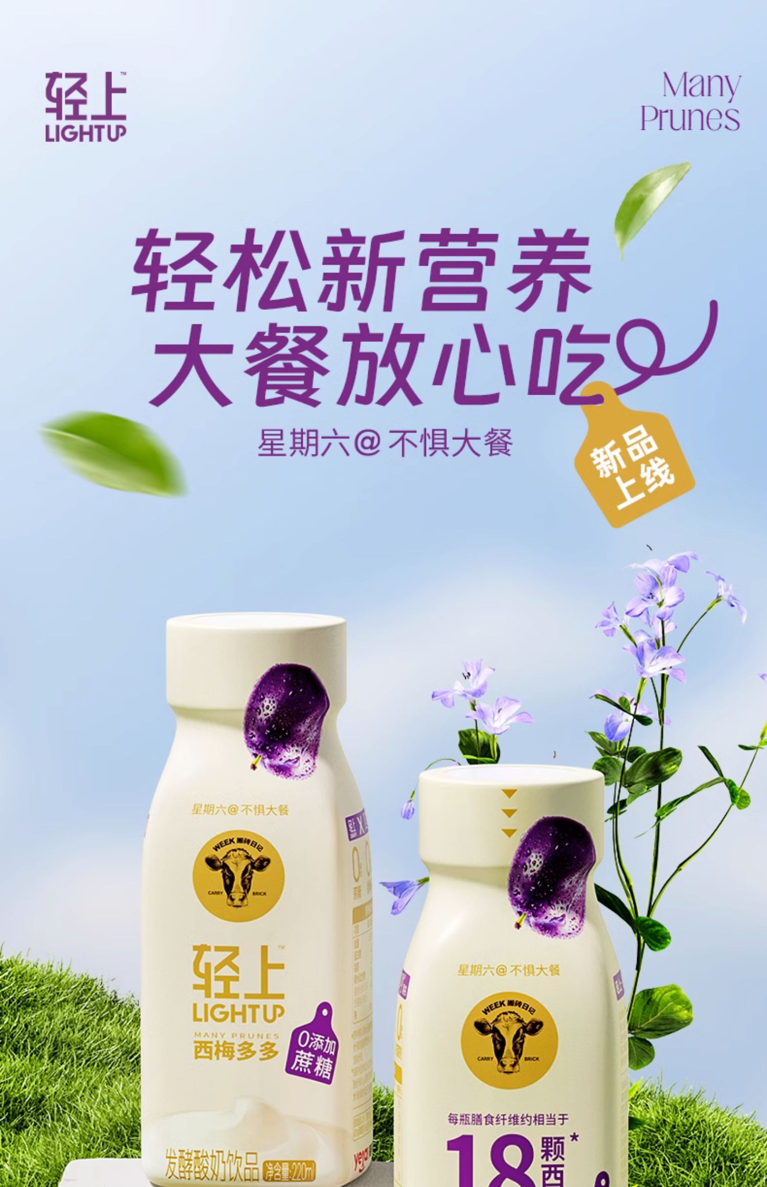 椰泰集团 轻上 西梅多多酸奶 220ml*10瓶 聚划算天猫优惠券折后￥34.9包邮（￥59.9-25）