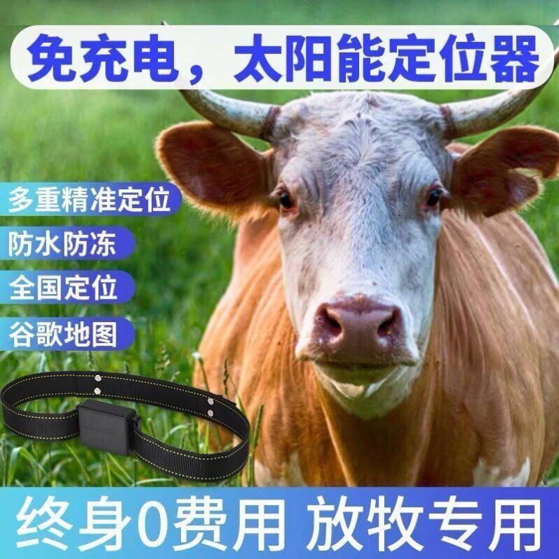 Bull Sheep Tracking Theologie Dog Anti-Loss Tracking Theorist Kitty Cat Tracking Anti-Loss Theorist Bull goat locating tracker