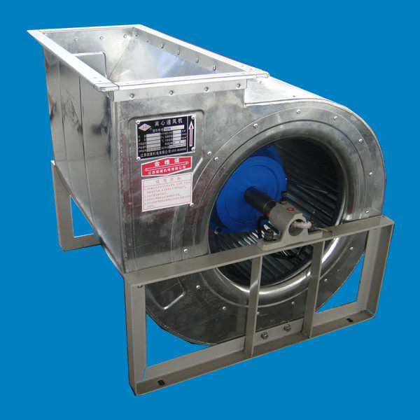 1077704046_1461528913[3]