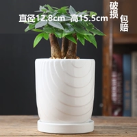 Большие чистые белые волны не шокированы