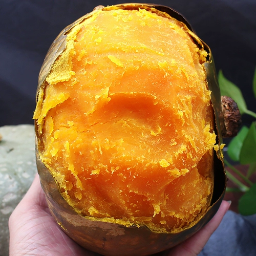 Аутентичный Huihe № 1 маленькая тыква 5 фунтов стержня Shandong Lao Shui Pagn