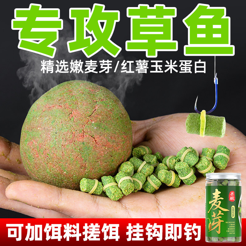 鱼在飞钓鲤鱼专用颗粒巨物皮筋颗粒钓饵野钓黑坑大物挂饵鲤鱼窝料：垂钓高手的秘密武器！✨