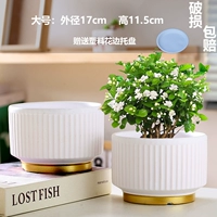 Значение два большого белого матового