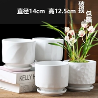 Четыре среднего снежного белого и невозмутимого