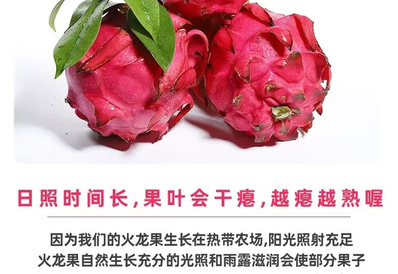 O1CN01Q8XiKr1PkAnz6MF7U_!!2212289861878-0-scmitem176000.jpg